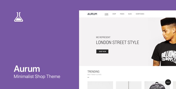 Aurum v4.0.9 - Minimalist Shopping Theme
