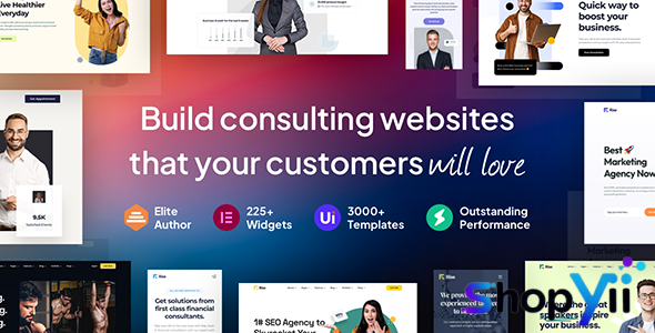 Rise v4.2.1 - Business & Consulting WordPress Theme