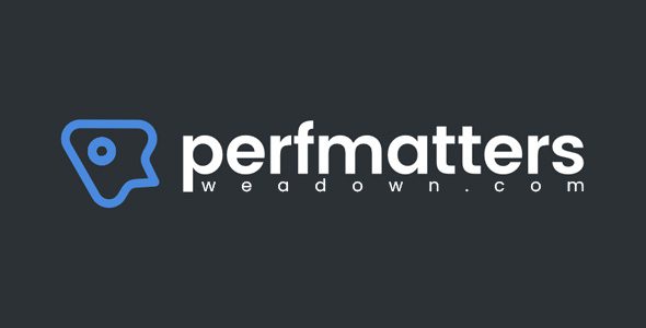 Perfmatters 2.4.8 – Lightweight WordPress Performance Plugin