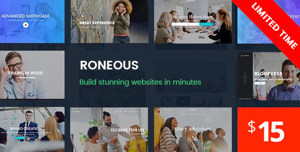 Roneous v2.1.4 - Creative Multi-Purpose WordPress Theme