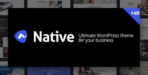 Native v1.6.61 - Powerful Startup Development Tool