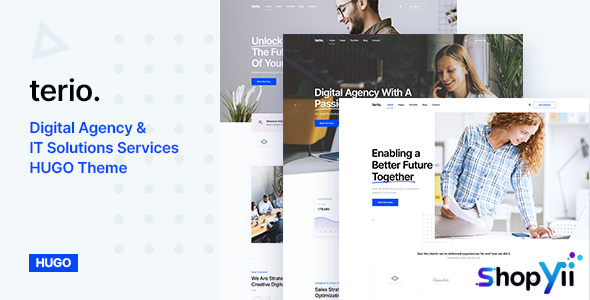 Terio - Digital Agency Hugo Theme